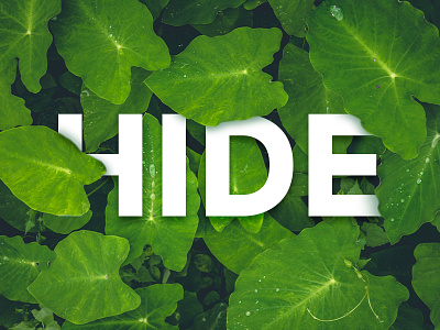 Hide art design hide illustration leaves typhography water word art
