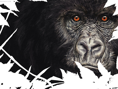Gorilla Coverillustration animal illustration cover art cover artwork cover book gorilla illustration