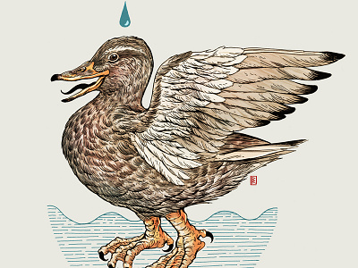 Heraldic Duck animal illustration bird bird illustration drawing heraldic illustration water