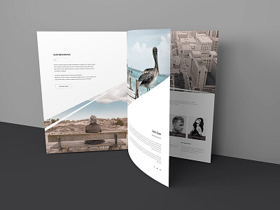 Freebie - Three Page Brochure Mockup book brochure free freebie mock up mockup open page perspective psd style three