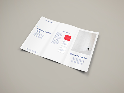 Tri Fold Brochure  Mockup