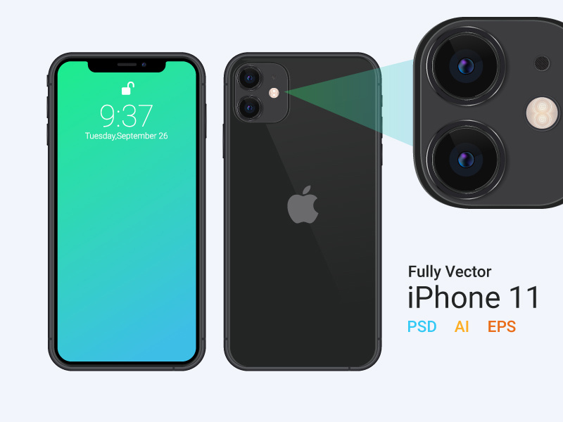 Download iPhone 11 Vector Mockup by GraphBerry on Dribbble