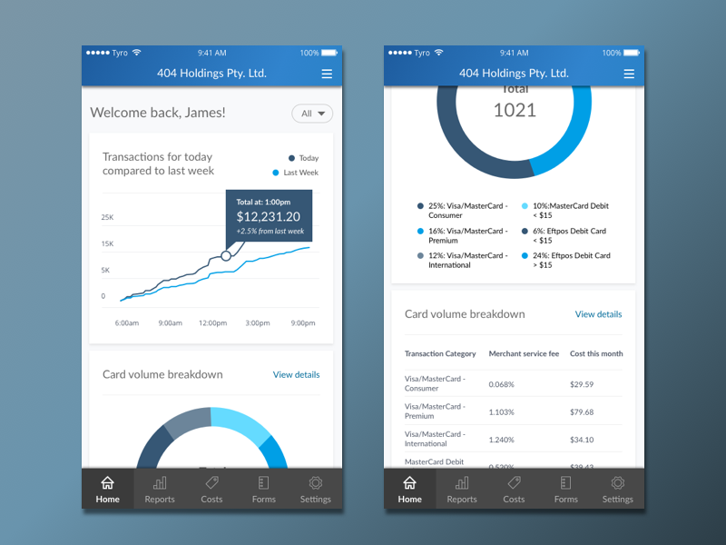 Mobile app analytics. Payment mobile dashboard.