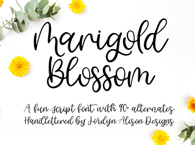 Marigold Blossom, Hand Lettered Script Font branding design font font design font designer hand lettered hand lettered font hand lettering logo script font typography vector