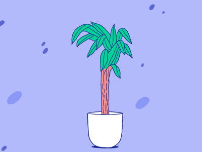 Temporal movement plant. gif.