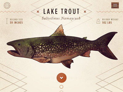 Reel Fishing Guide app illustration nature outdoors responsive ui watercolor web design