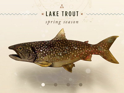 Seasonal Lake Trout