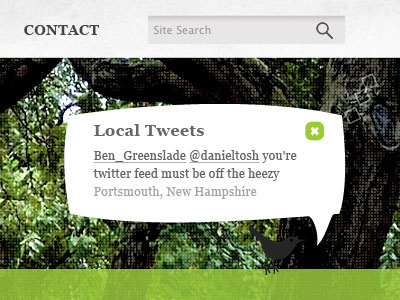 Local Tweets feed green hello local nav portsmouth twitter