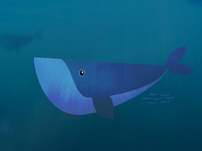 WH▲LE blue cartoon illustration sea water whale