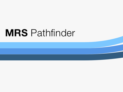 IBM MRS Pathfinder branding design design system ibm icons logo typography