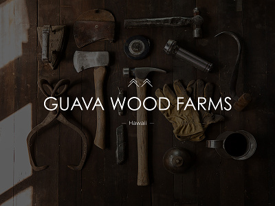 Guava Wood Farms Hawaii branding hardwork identity logo nature print stamp stationary wood