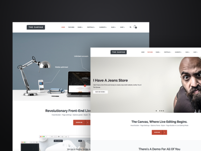 The Canvas - Live Frontend Editing