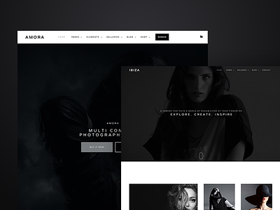 Amora - Responsive Multi-Concept Theme clean gallery multi purpose portfolio wordpress