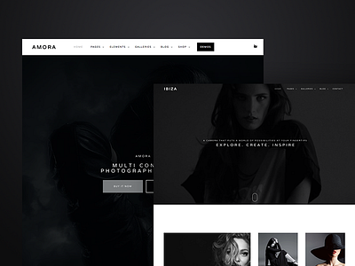 Amora - Responsive Multi-Concept Theme