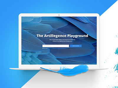Playground Plugin - It's live blue demo landing trial wordpress