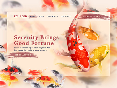 Koi Pond branding dailyui design ui ux web design website