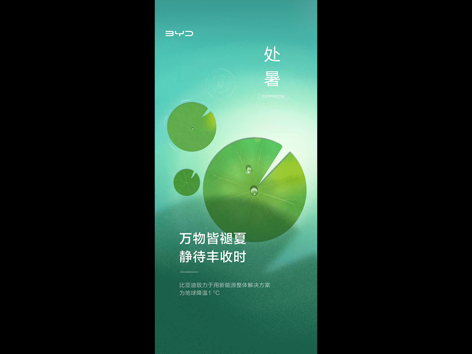 处暑 graphic design illustration