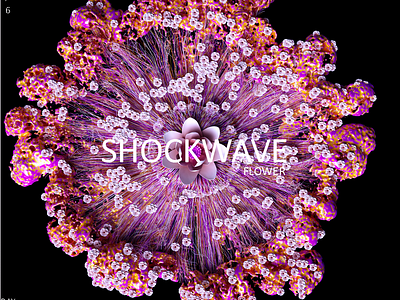 Shockwave Flower 3d artwork c4d cinema4d design design art flower shockwave vector web