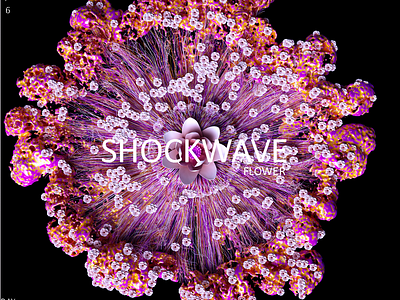 Shockwave Flower