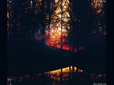 Forest Fog 3d artwork c4d cinema4d design design art fog forest sunset