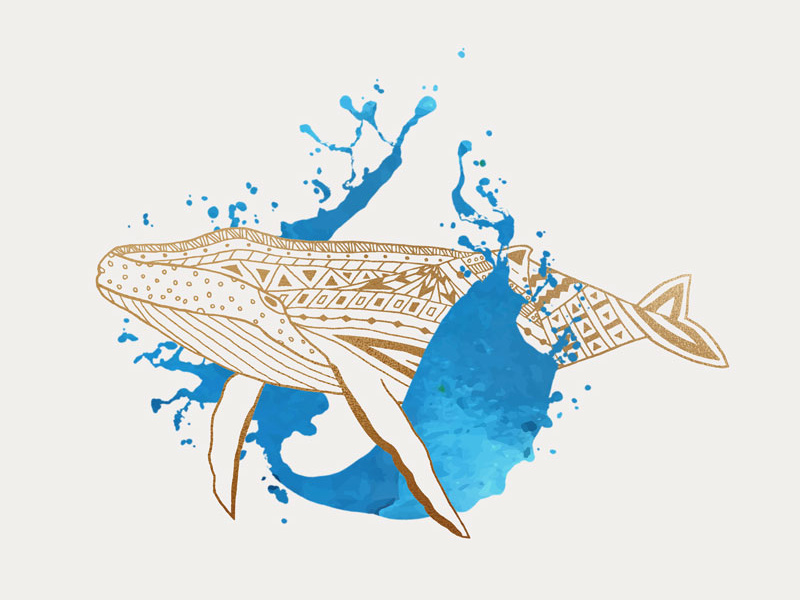 Whale Splash graphic art gold design society 6 artist redbubble artist redbubble society6 animal art line art illustration digital design graphic design animal whale lover sea sealife humpback whale humpback marine life whale