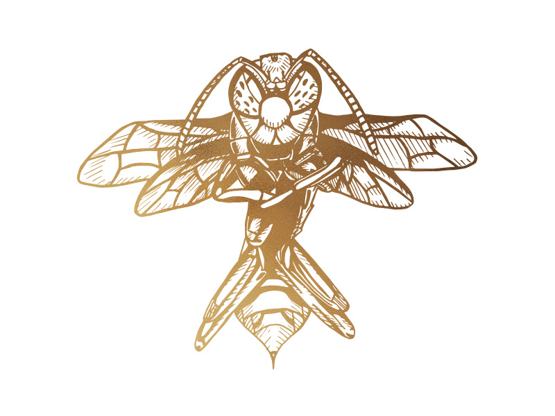 Golden Hornet redbubble society6 vector illustration digital design graphic design animals insect mother nature ink art angry animal illustration insect illustration animal art animal gold hornet lineart wasp insects