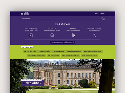 Council Website Design ui design website design