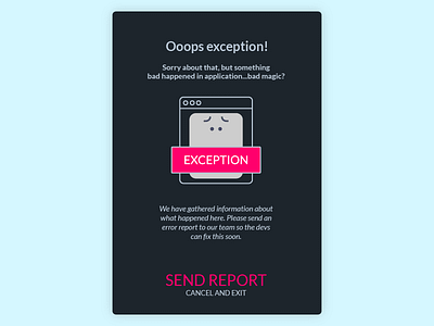 Exception reporter exception flat interactive reporter