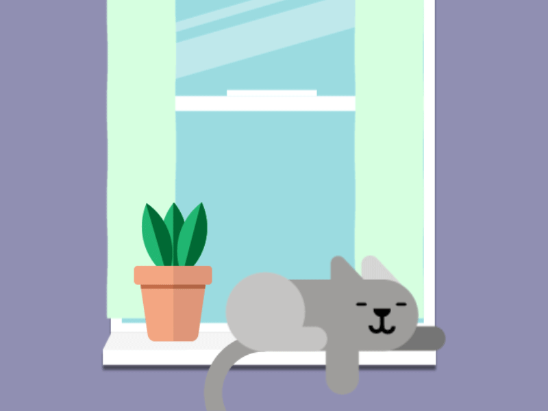 Cat animation design flat