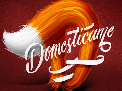 Domestícame #365Rounds 365 365 rounds lettering mexico petit prince principito type typography