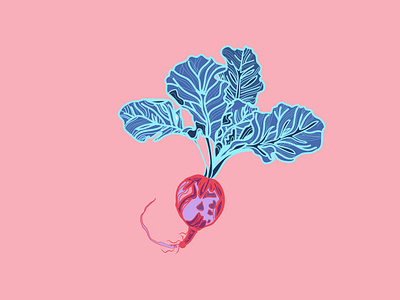 Radish