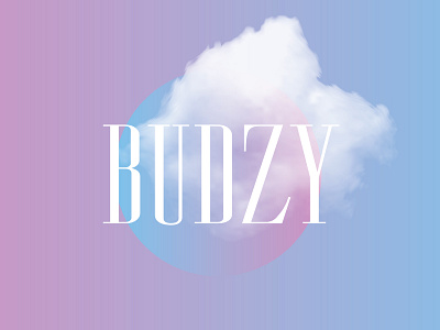 Budzy