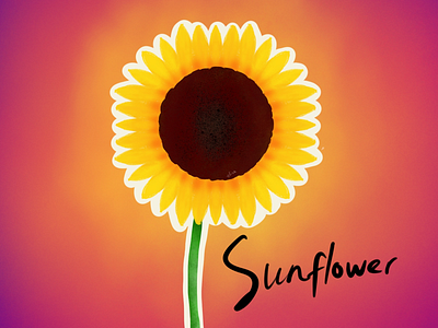 Sunflower digital art digital painting illustration painting procreate sunflower
