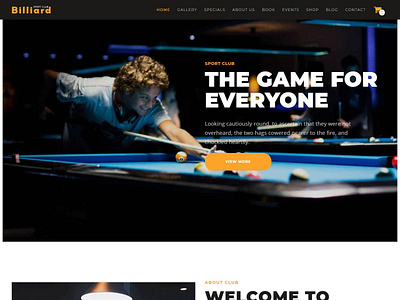 Billiard - Creative Sporting WordPress Theme billiard entertainment fun responsive sport visual composer