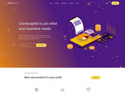 CRANECAPITAL business capital portfolio pricing services webdesign webdevelopment wordpress