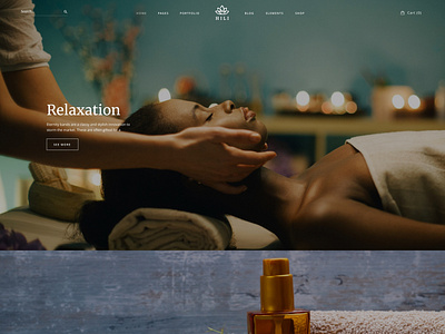 Hili - Fullscreen Showcase agency creative design gallery parallax photography portfolio responsive showcase spa services webdevelopment wordpress