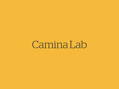 Camina Lab logo