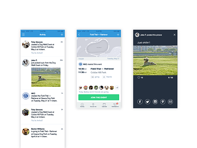 News feed, event and pictures — Dogways app app appdesign dogs userexperience userinterface userinterfacedesign uxui