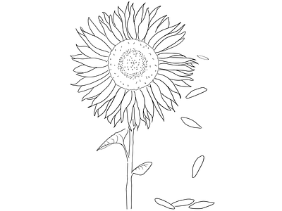 Stand with Ukraine black and white design drawing illustration petals simple sunflower ukraine