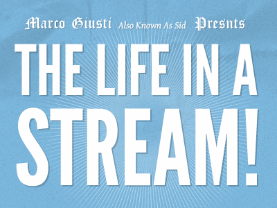 The life in a stream blue claim logo typography