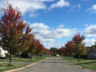 Fall Perspective