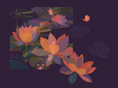 Lotus art floral flower flowers graphic design illustration illustrator lake lotus lotus flower meditating meditation night poster vector