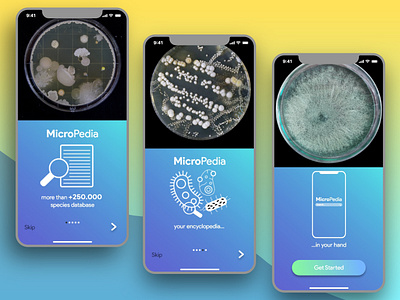 Micropedia app UI design
