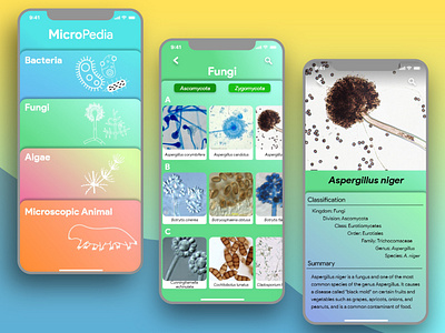 Micropedia App UI Design (2)