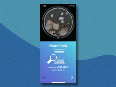 MicroPedia App (Animation)