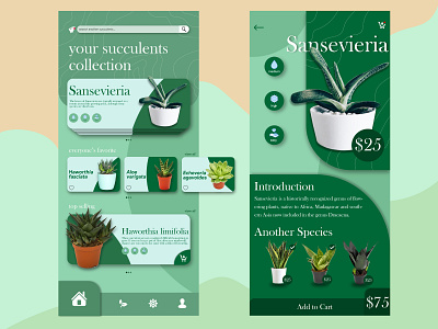 Succulents Plant App UI Design Concept app branding design illustration ui ux web