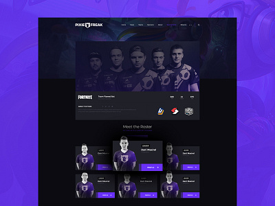 eSports team page about card esports gaming members page pixiesquad ragebite team ui ux wordpress