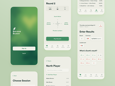 Bridge Game Assistant App Concept app bridge bunny gambling green ios logo ui