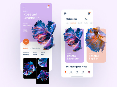 #Exploration - Betta Fish eCommerce animal app app ui betta fish card category clean design detail ecommerce gallery mobile pet product product card shop simple ui ux