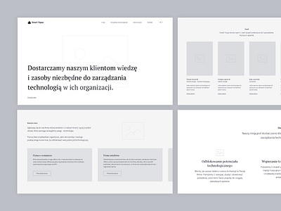 Smart Topaz - wireframes